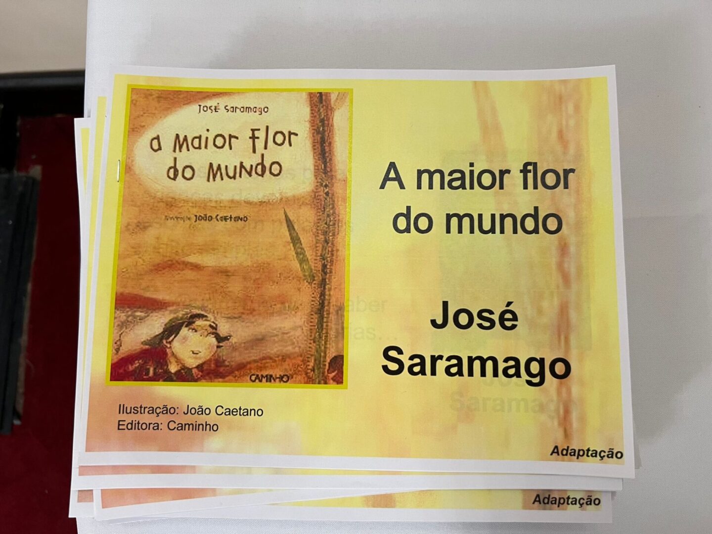 CPLP - Feira do Livro na Embaixada de Angola 00012