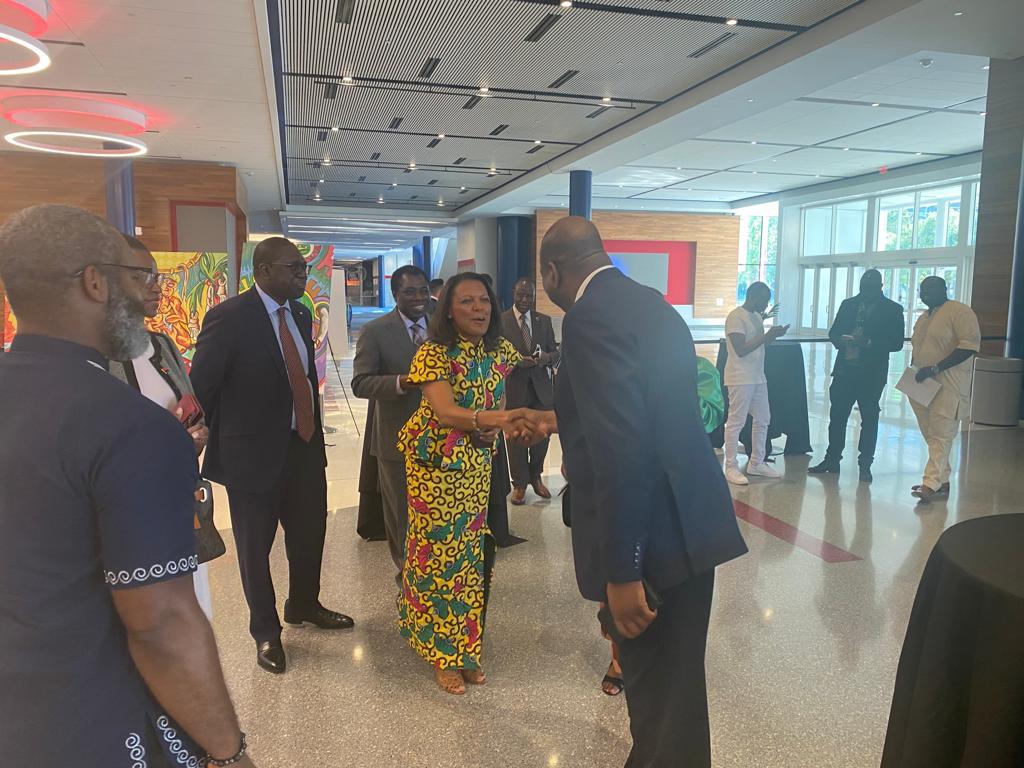 Dia de África em Houston2